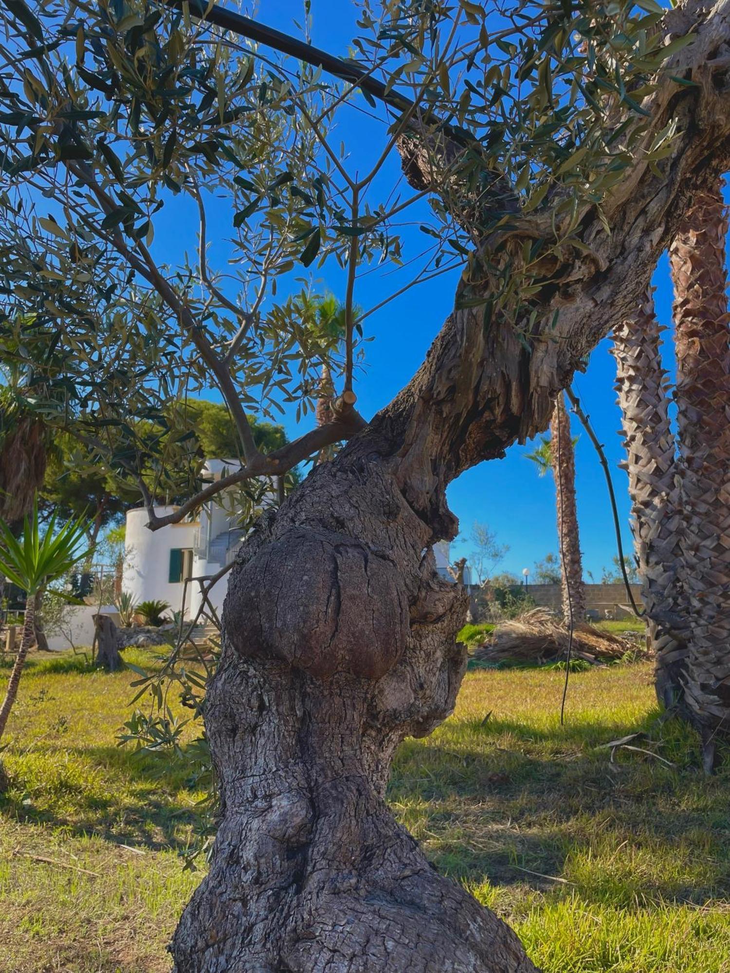 Tenuta Kalos Gallipoli Esterno foto